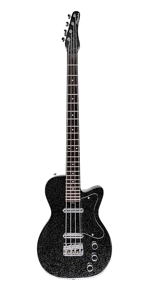 Amazon.com: Silvertone 1444 BSF : Musical Instruments